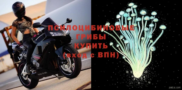 PSILOCYBIN Балахна