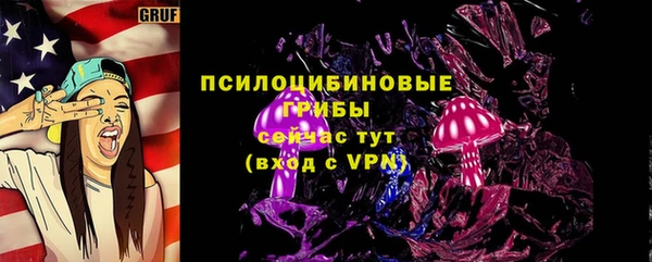 PSILOCYBIN Балахна