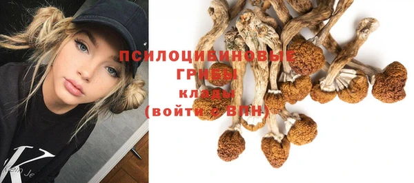 PSILOCYBIN Балахна