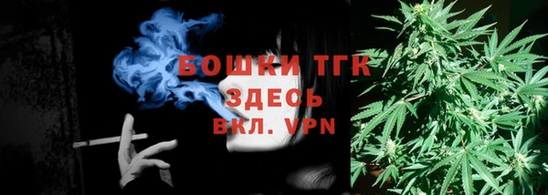 PSILOCYBIN Балахна