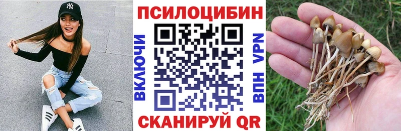 Псилоцибиновые грибы Psilocybine cubensis  даркнет сайт  Астрахань 
